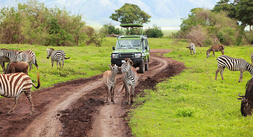 3 Days Arusha Tarangire Manyara Parks