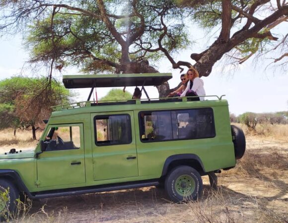 6-Day Classic Tanzania Safari - Tarangire, Serengeti, Ngorongoro & Lake Manyara