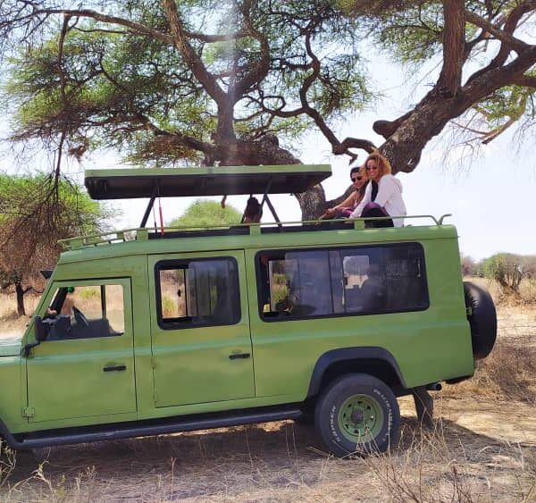 6-Day Classic Tanzania Safari - Tarangire, Serengeti, Ngorongoro & Lake Manyara