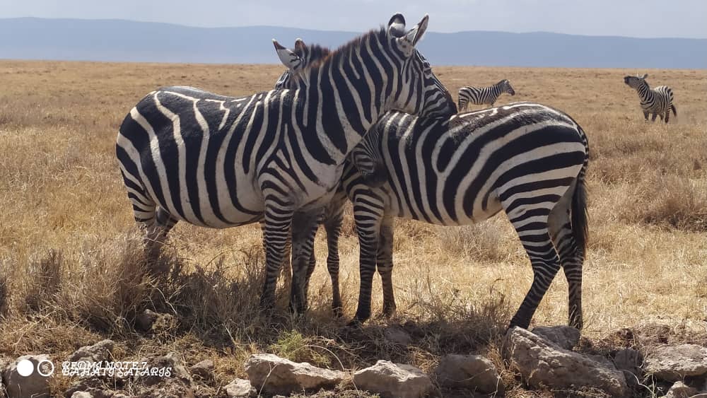 Serengeti National Park