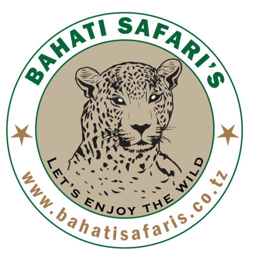 Bahati Safari's