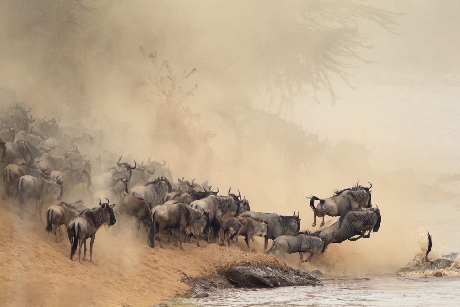 Ngorongoro Conservation Area