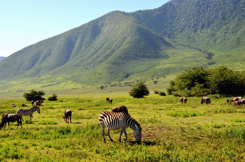 8 Days Tarangire,Lake Eyasi,Ngorongoro Serengeti 2 nights , Lake Natron 2 nights.