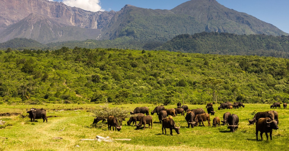Arusha National Park1