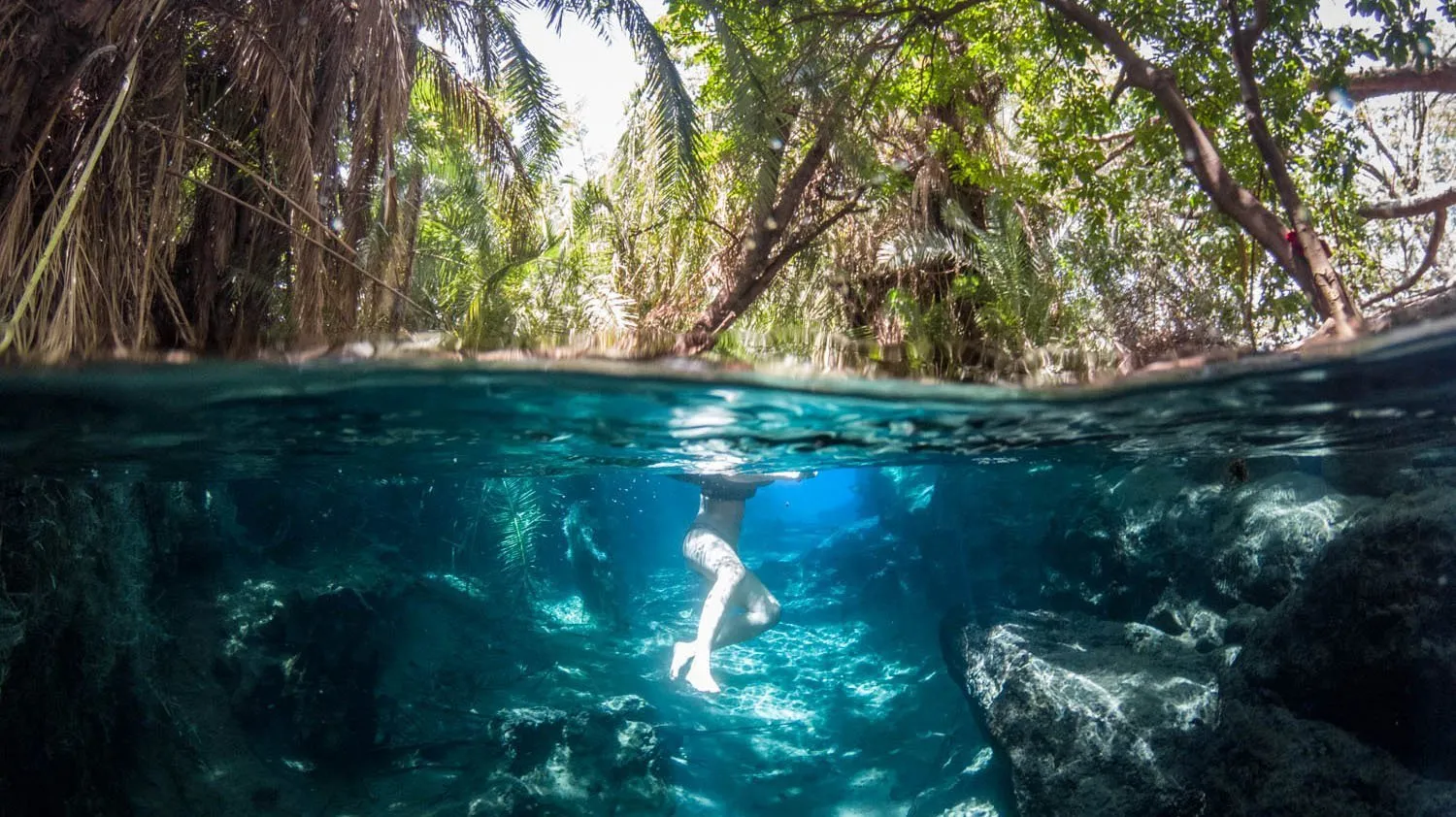 Kikuletwa1