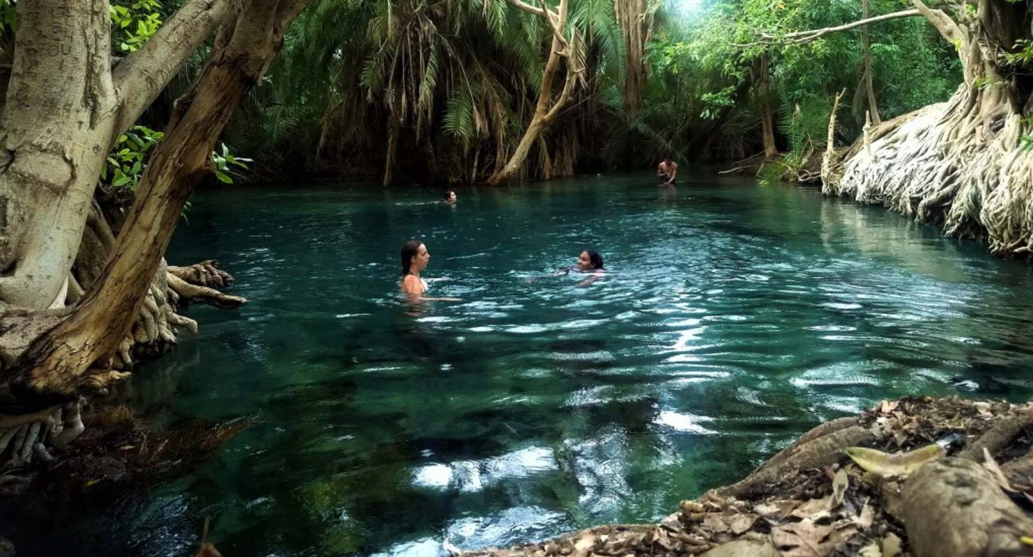 Kikuletwa2