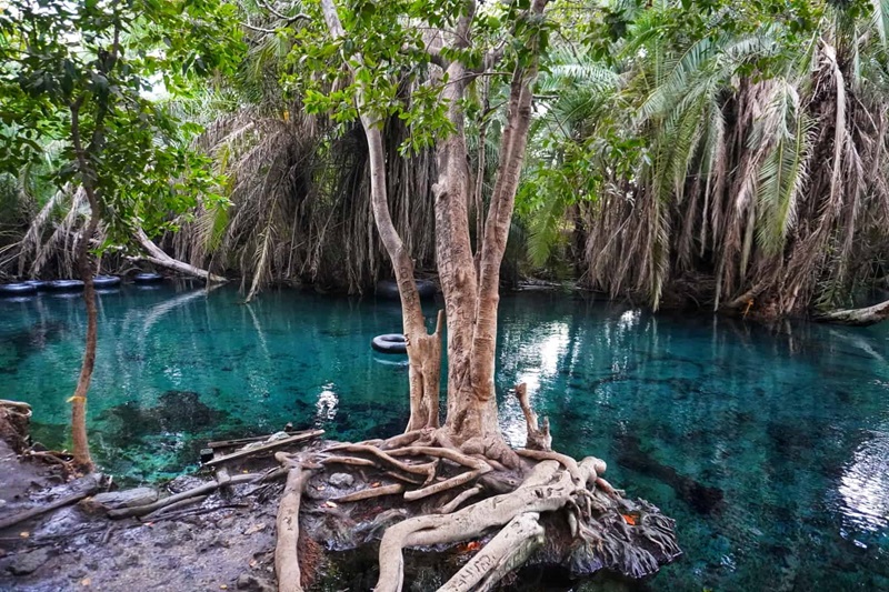 Kikuletwa3