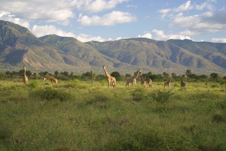 Mkomazi