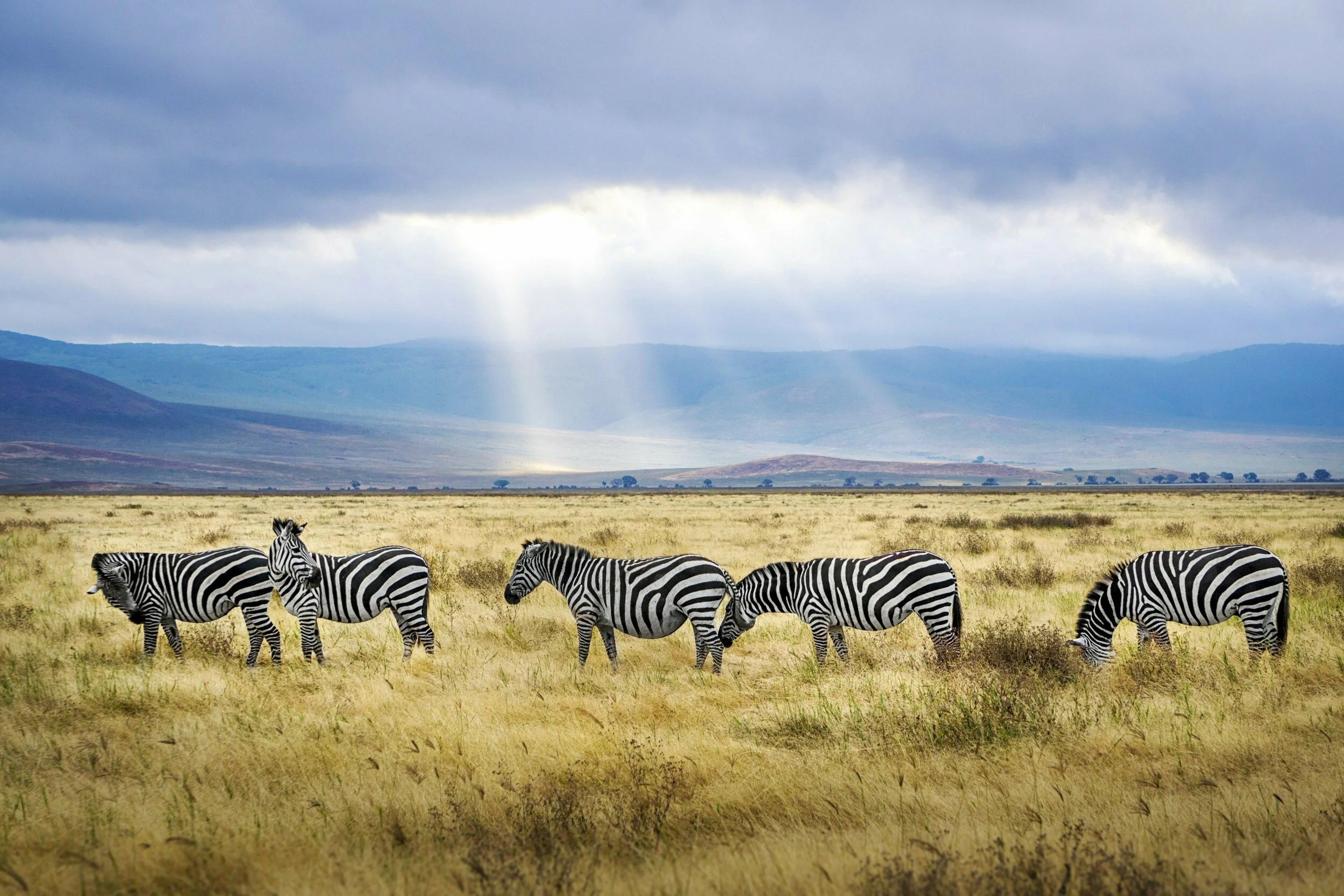 Ngorongoro Crater2