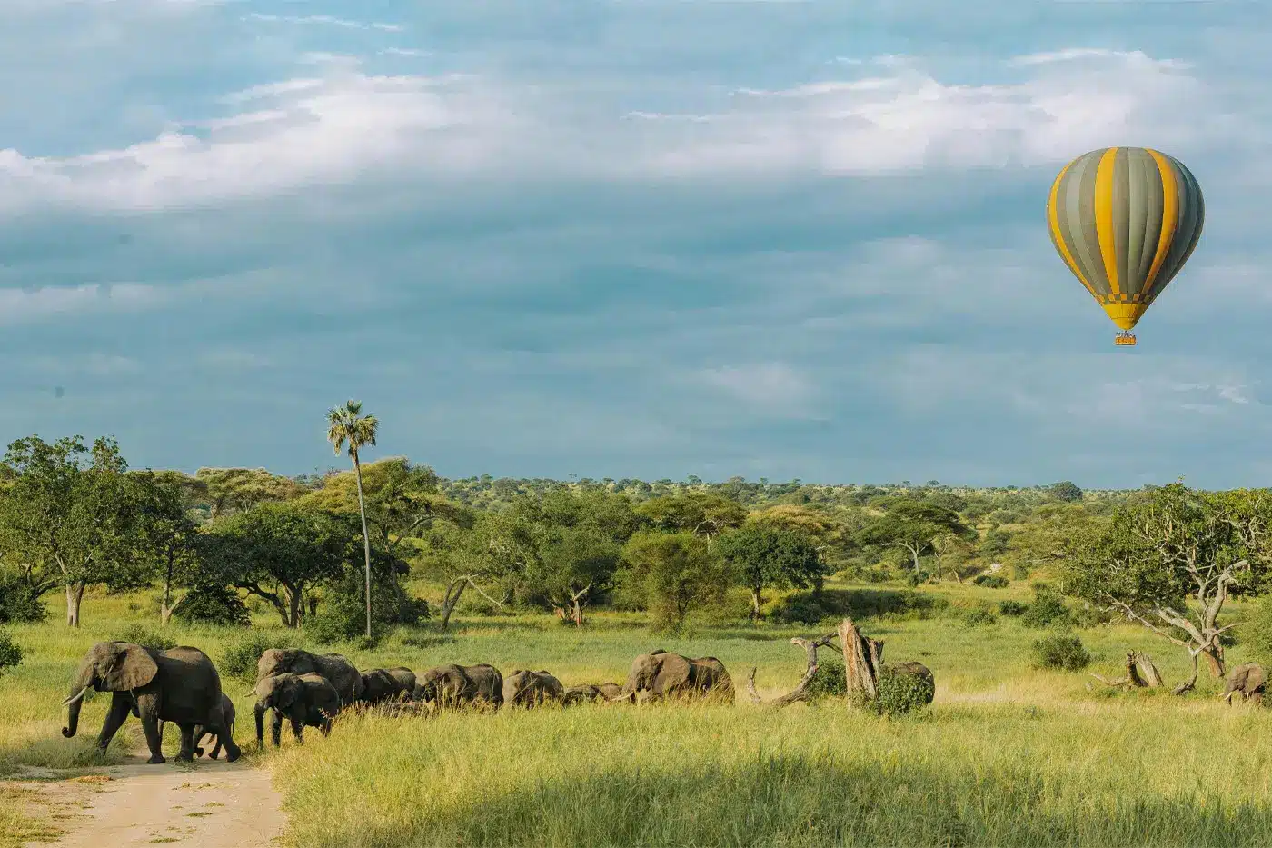 Tarangire